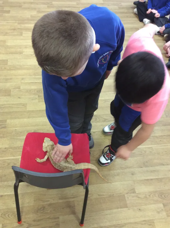 Gallery - created at 2024-03-05 13:52:56 - image 20 Gallery - created at 2024-03-05 13:52:56 - image 20