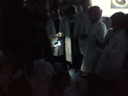 Gallery - created at 2018-01-17 17:01:08 - image 12