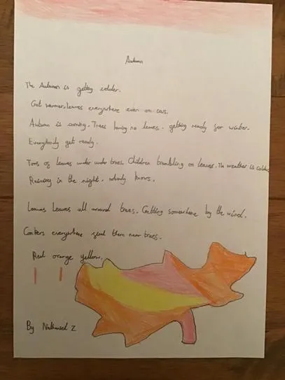 Gallery - created at 2020-12-01 10:12:28 - image 16