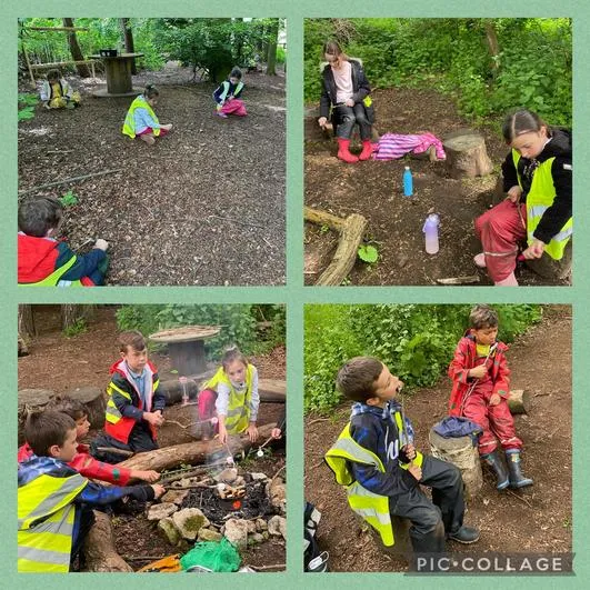 Summer 2024 - 15th May - Saplings - Whittling; Toasting Marshmallows; Woodland Rulers; Weighing Scales; Deciduous vs Evergreen - image 2 Summer 2024 - 15th May - Saplings - Whittling; Toasting Marshmallows; Woodland Rulers; Weighing Scales; Deciduous vs Evergreen - image 2
