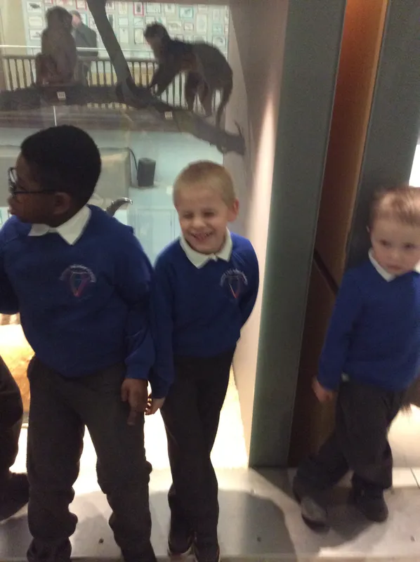 Gallery - created at 2024-02-09 11:53:37 - image 33