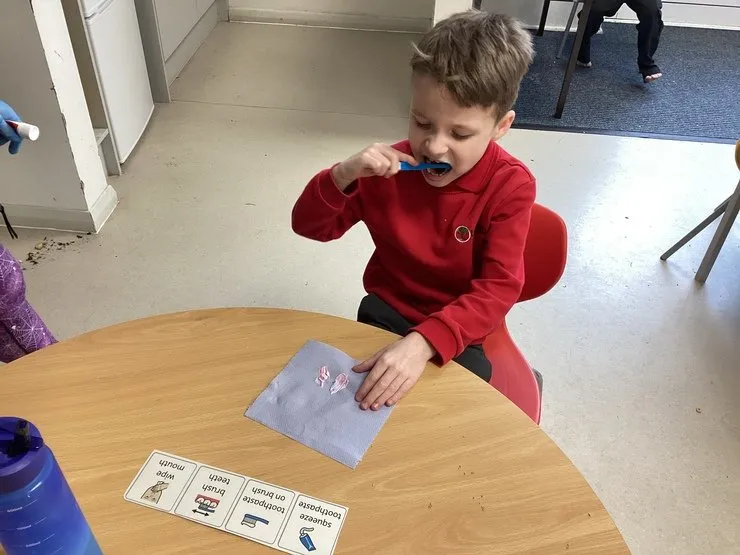 Maple Class - image 6