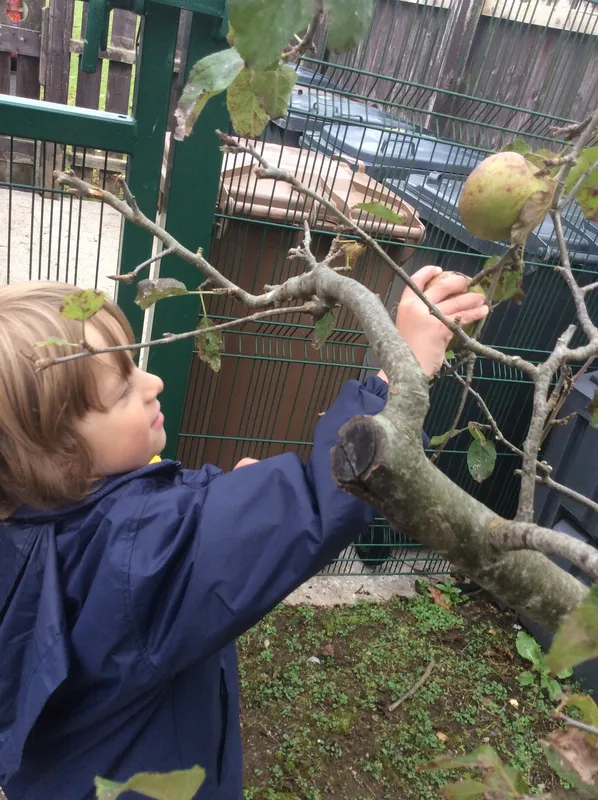 Gallery - created at 2019-09-27 16:10:58 - image 28 Gallery - created at 2019-09-27 16:10:58 - image 28