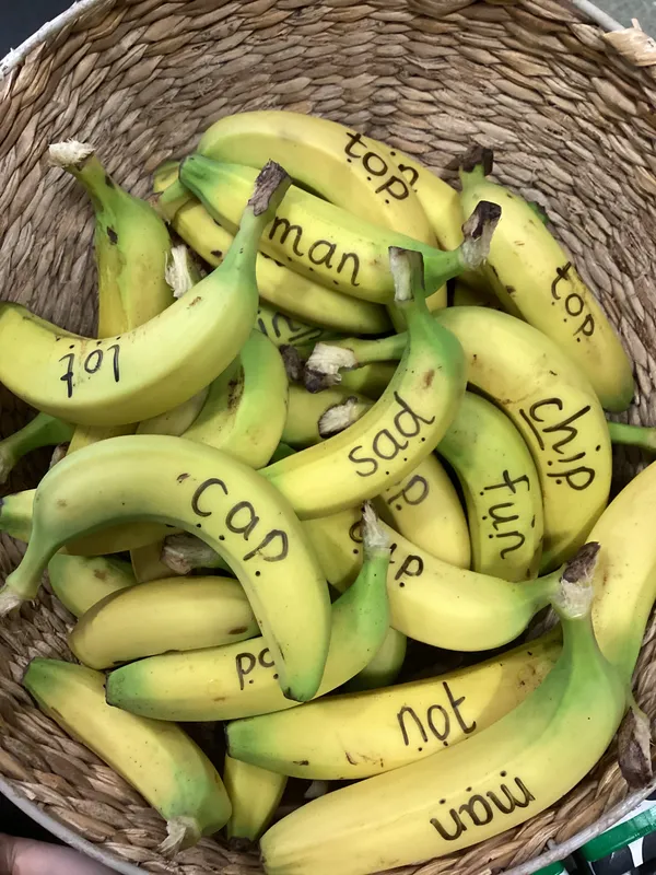 Reception Spring - image 2 Reception Spring - image 2