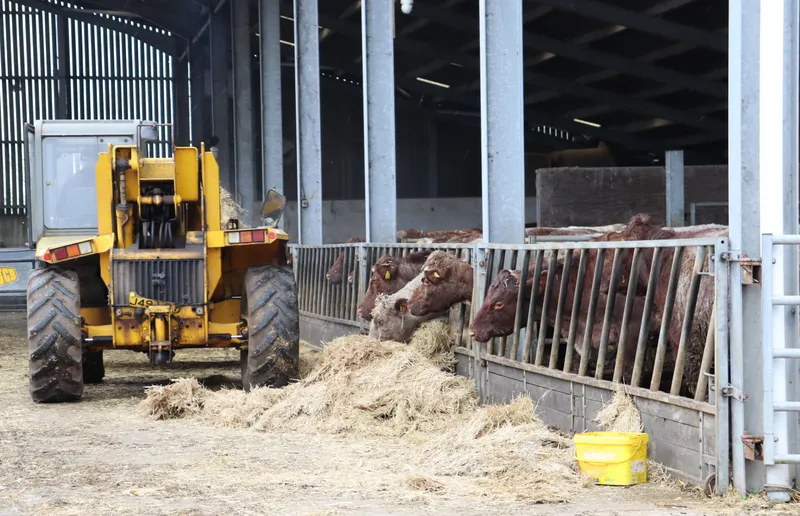 Farm march '26 - image 12 Farm march '26 - image 12