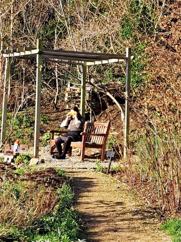 Year 5 and 6 pupils. - image 7