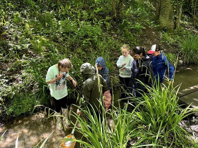 Drews Pond Woods - image 4