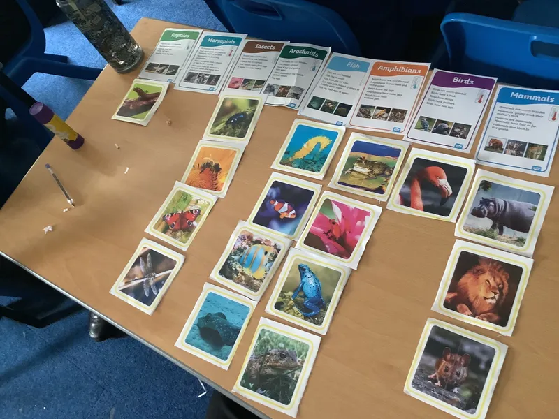 Gallery - created at 2025-09-21 14:34:39 - image 3 Gallery - created at 2025-09-21 14:34:39 - image 3