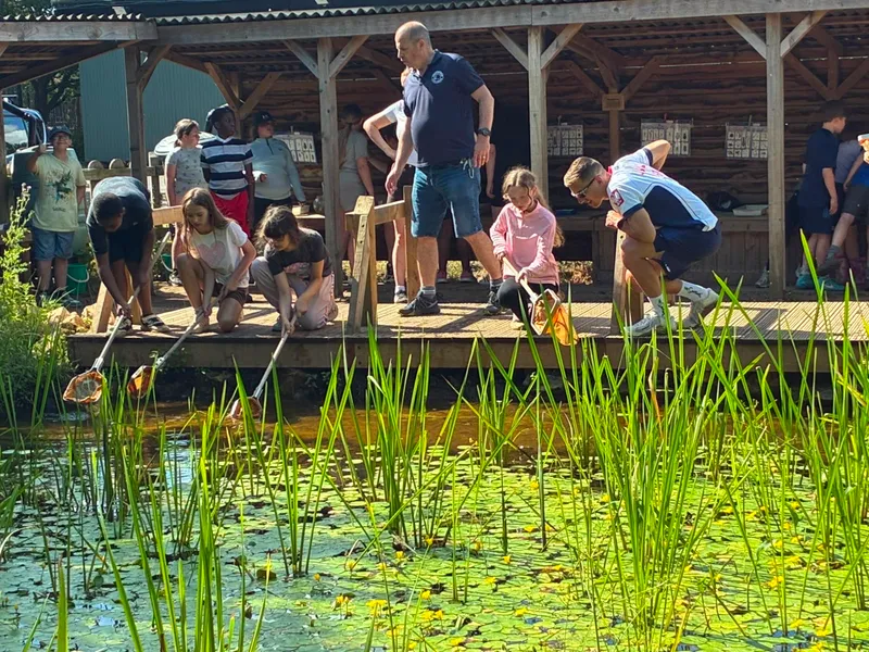 Y6 Residential - image 87