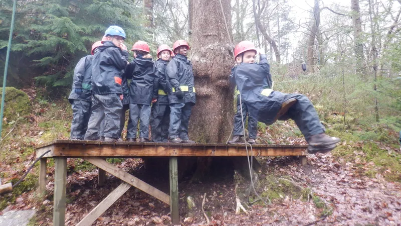 Gallery - created at 2024-02-27 21:54:15 - image 36 Gallery - created at 2024-02-27 21:54:15 - image 36