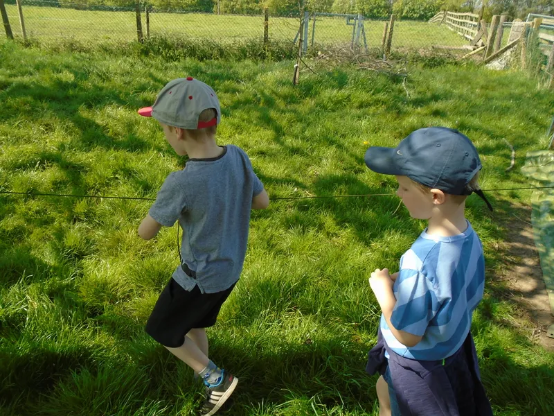 Gallery - created at 2019-06-05 14:08:28 - image 14 Gallery - created at 2019-06-05 14:08:28 - image 14