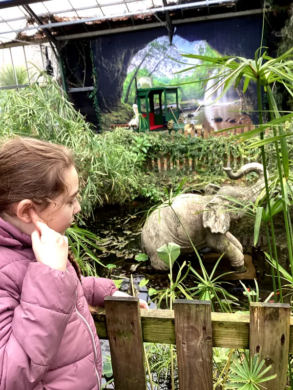 Yellow Class Trip to St John's 2026  - image 9