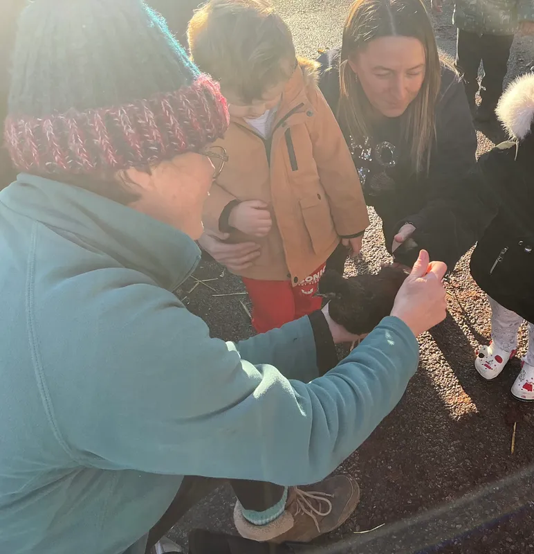 Stella ‘Farm on wheels’ part 2  - image 8