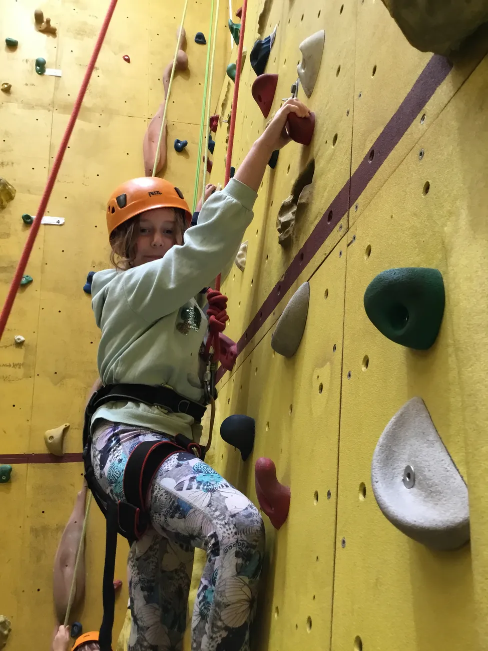 Gallery - created at 2024-09-17 20:50:18 - image 8 Gallery - created at 2024-09-17 20:50:18 - image 8