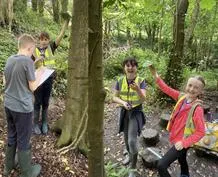 Forest School 66 - image 1 Forest School 66 - image 1