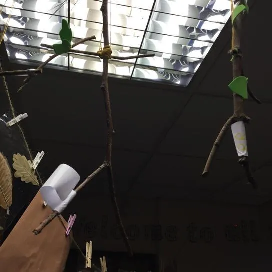 Gallery - created at 2020-11-25 11:13:41 - image 28