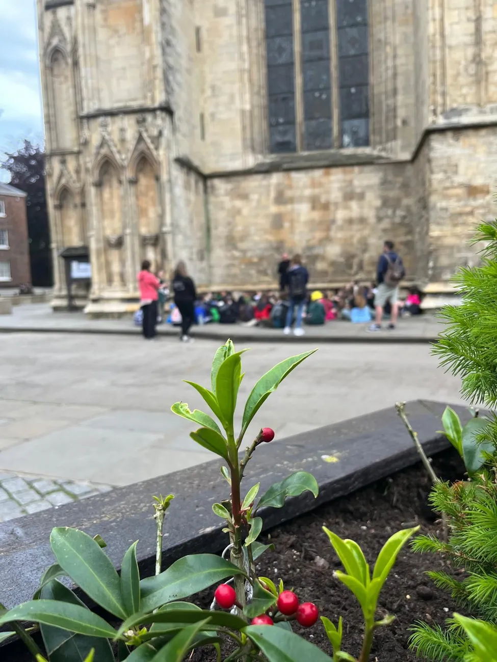 Gallery - created at 2024-06-06 15:11:55 - image 41