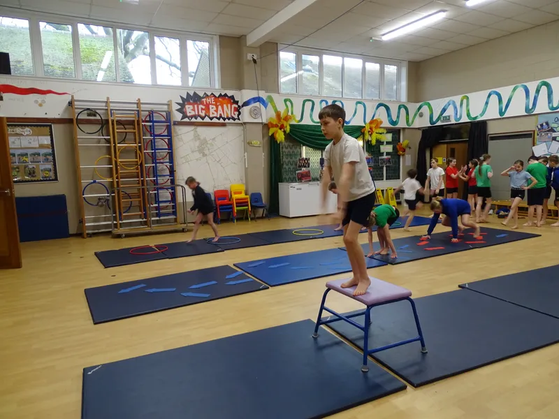 Ospreys Gymnastics Skills - image 19 Ospreys Gymnastics Skills - image 19