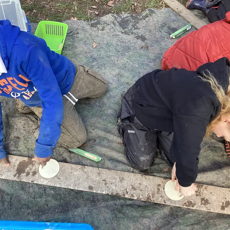 Palm Drills - image 6