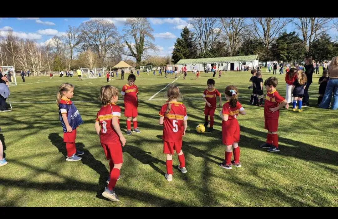 Gallery - created at 2025-08-04 12:03:35 - image 31