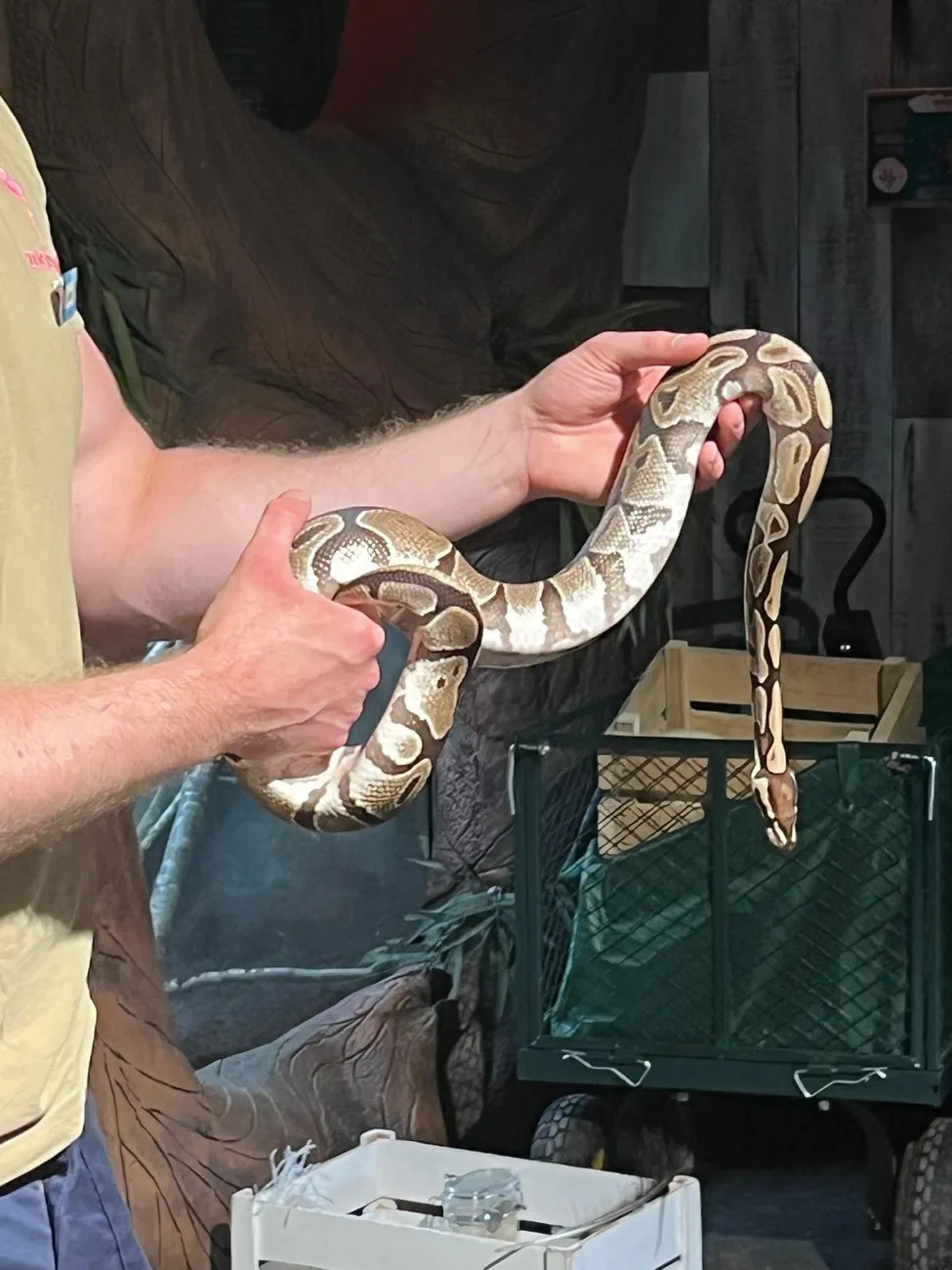 Gallery - created at 2024-06-06 15:03:55 - image 16