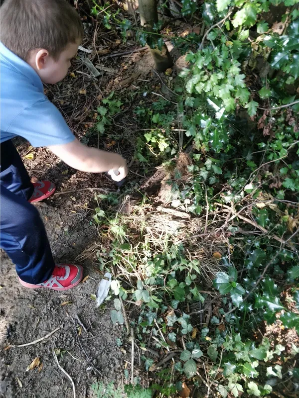 Y3 Forest schools - image 6