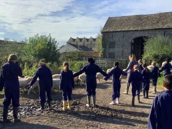 Farm 2025 - Gallery 3 - image 13