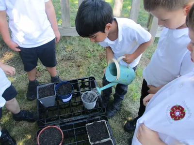 Planting - image 18