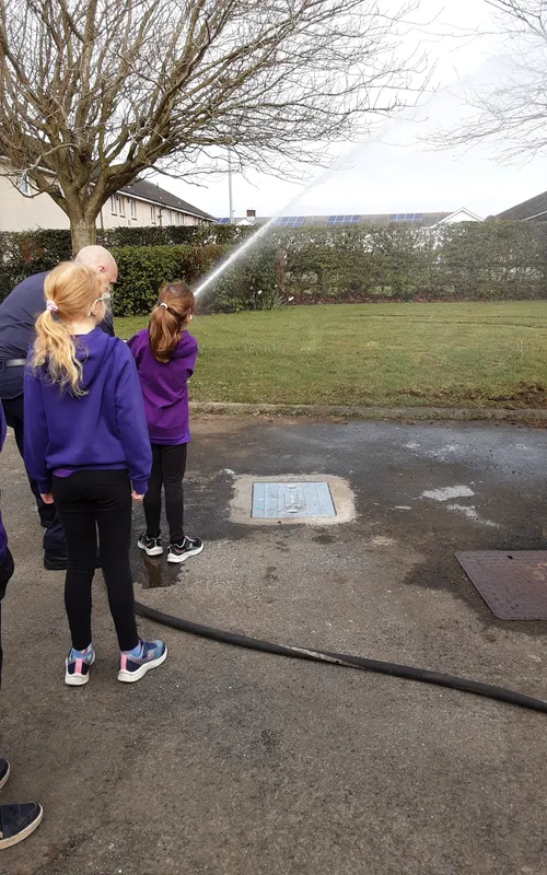 Gallery - created at 2025-03-27 11:04:23 - image 27 Gallery - created at 2025-03-27 11:04:23 - image 27