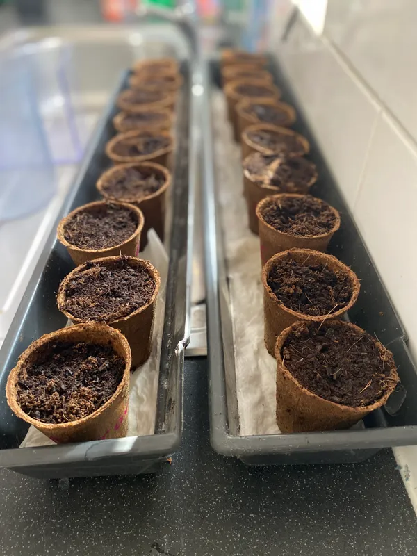 Gallery - created at 2025-03-23 10:29:25 - image 11