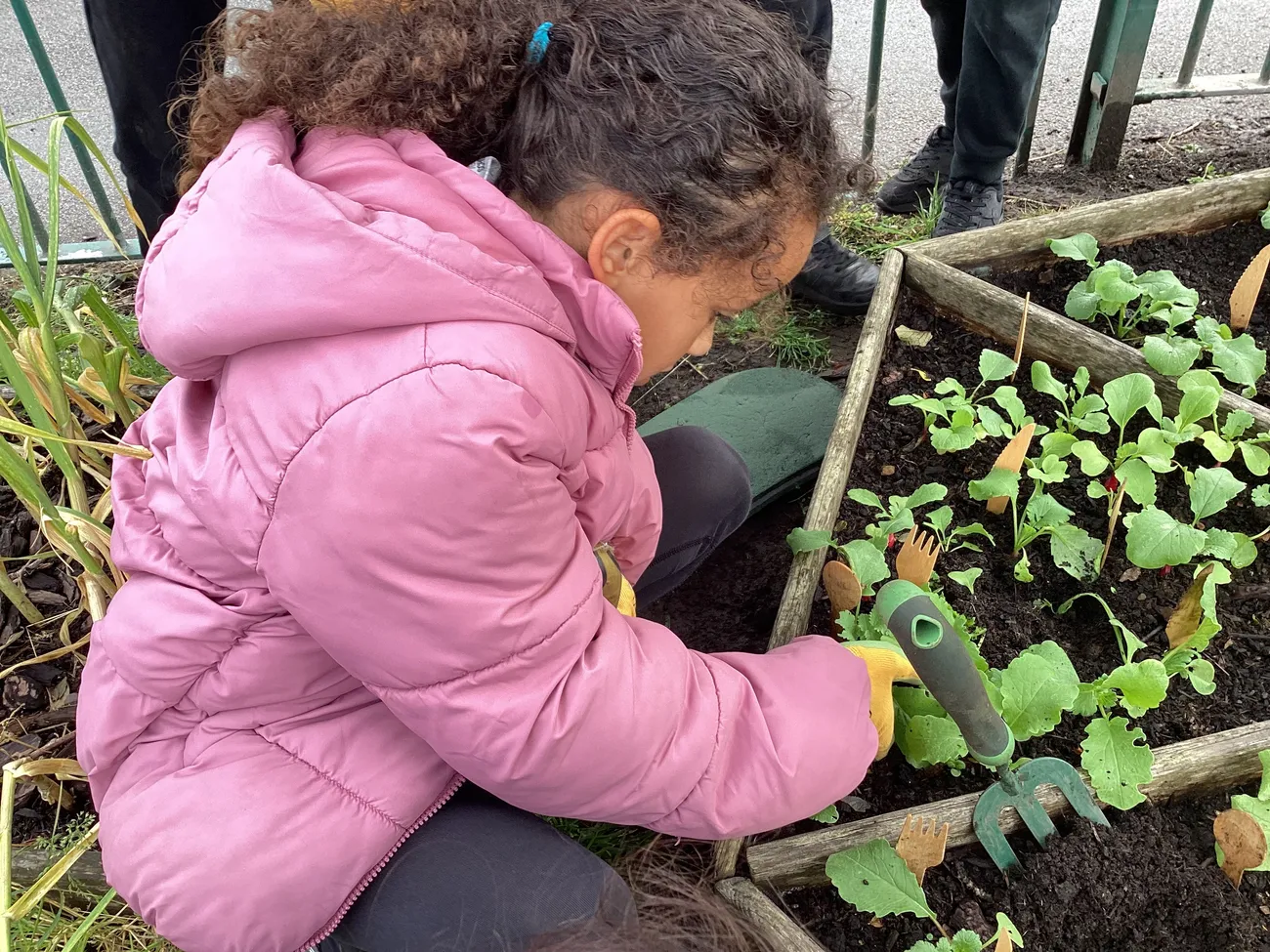 Gallery - created at 2023-09-07 16:46:06 - image 13 Gallery - created at 2023-09-07 16:46:06 - image 13