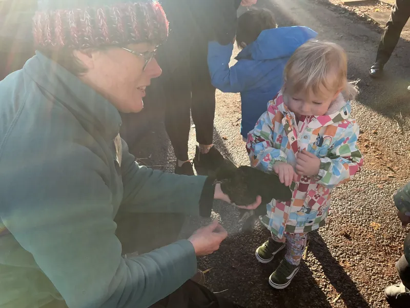 Stella ‘Farm on wheels’ part 2  - image 2