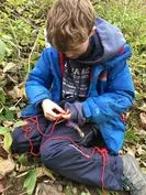 Forest School 141 - image 4 Forest School 141 - image 4