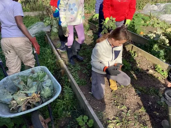 Farm Trip - Gallery 4 - image 1