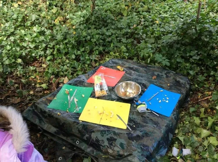 We have enjoyed cooking in the woods. - image 3 We have enjoyed cooking in the woods. - image 3