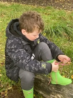 Wrens enjoying knot tying, tree identification and art during Forest school - image 8 Wrens enjoying knot tying, tree identification and art during Forest school - image 8