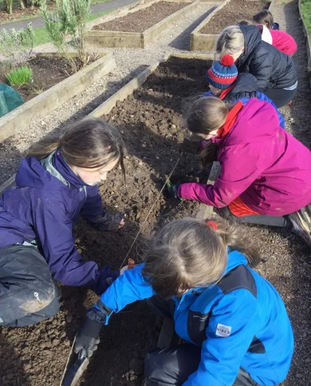 Gallery - created at 2023-04-13 12:54:34 - image 3