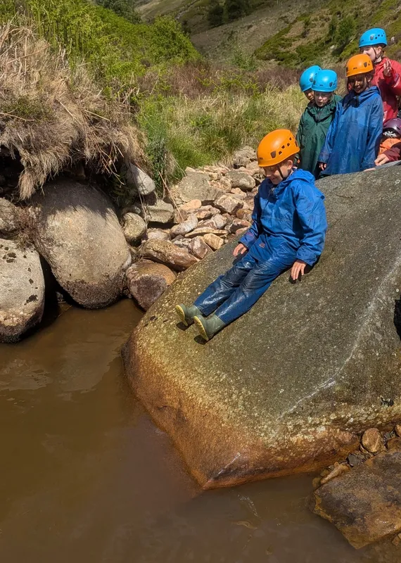 PE - image 5 PE - image 5