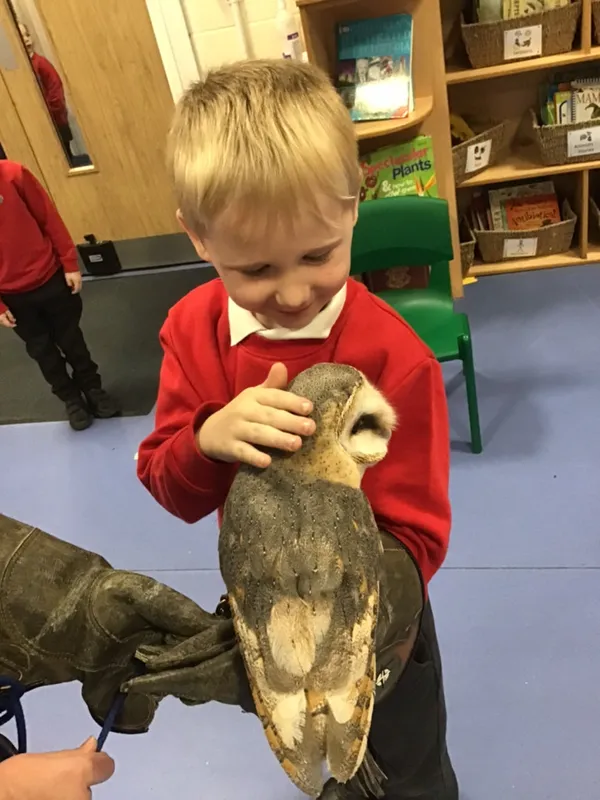 birds of prey year 1 25 - image 13 birds of prey year 1 25 - image 13