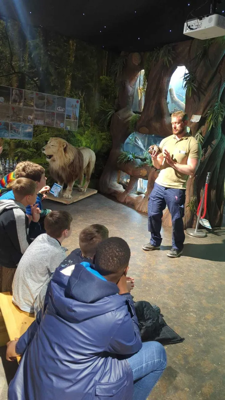 Gallery - created at 2024-06-06 15:03:55 - image 62