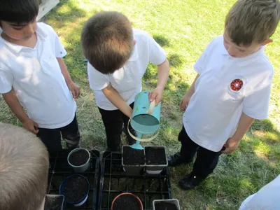 Planting - image 29