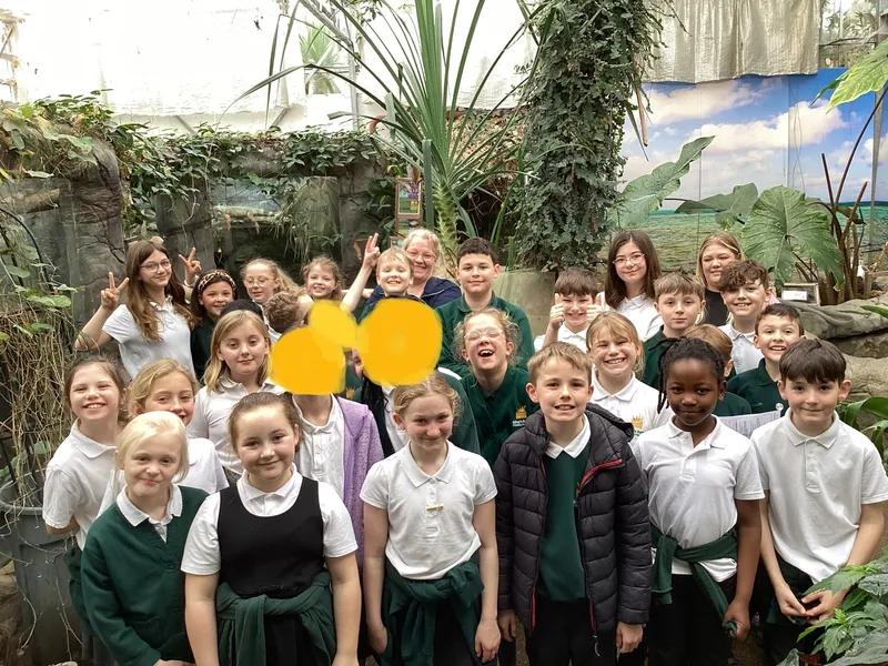 Gallery - created at 2025-03-14 10:11:21 - image 1 Gallery - created at 2025-03-14 10:11:21 - image 1