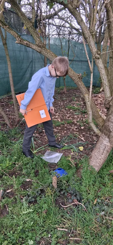 y6 active learning - image 15