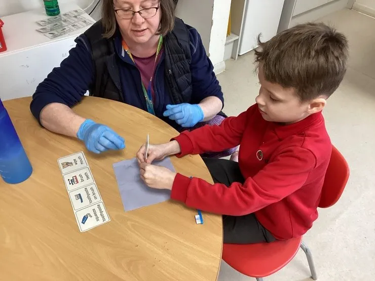 Maple Class - image 10