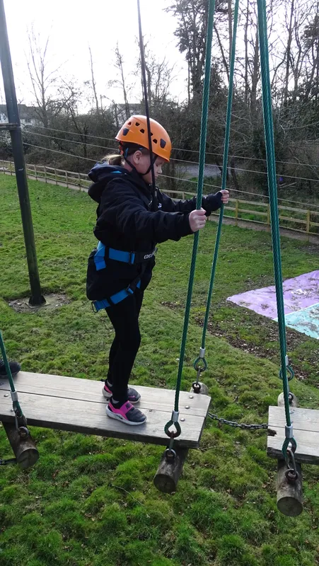 Spring Group - image 11