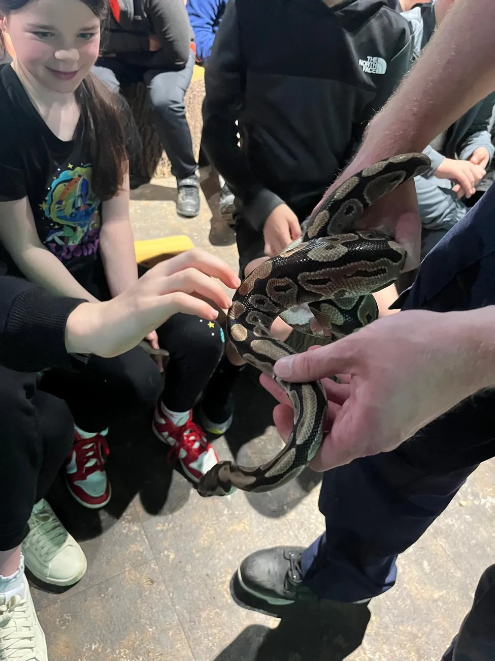 Gallery - created at 2024-06-06 15:03:55 - image 15