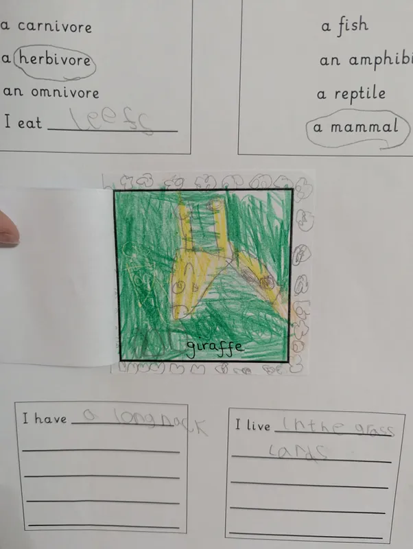 What animal am I? - image 1