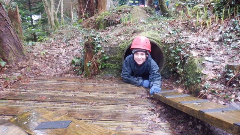 Gallery - created at 2024-02-27 21:54:15 - image 39 Gallery - created at 2024-02-27 21:54:15 - image 39