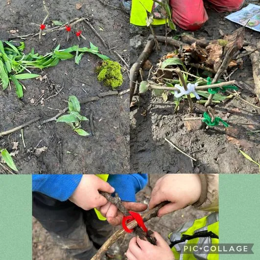 Forest School 42 - image 1 Forest School 42 - image 1