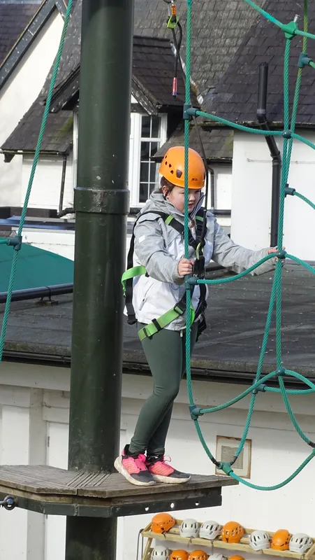 Spring Group - image 7